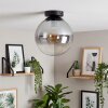 Gastor smoked glass globe ceiling light, E27 retro style for living room hallway