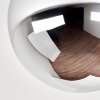 Gastor globe ceiling light with smoked glass shade, E27 retro flush mount