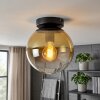 Gastor globe ceiling light, retro flush mount ceiling lamp for living room