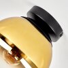 Gastor globe ceiling light, retro flush mount ceiling lamp for living room