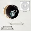 Gastor glass globe ceiling light with antique brass finish and E27 fitting