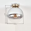Gastor smoked glass ceiling light, globe semi-flush ceiling light with E27 socket