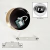 Gastor smoked glass ceiling light, globe semi-flush ceiling light with E27 socket
