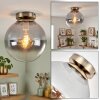 Gastor smoked glass ceiling light, globe flush mount with E27 vintage style