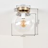 Gastor glass globe ceiling light, flush mount ceiling lamp in antique brass