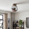 Gastor smoked glass ceiling light, glass globe shade, antique brass E27 fitting