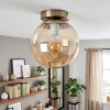 Gastor globe ceiling light, vintage ceiling light for living room and hallway