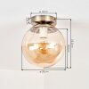 Gastor globe ceiling light, vintage ceiling light for living room and hallway