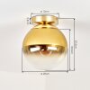 Gastor globe ceiling light, round retro ceiling lamp for living room and hallway