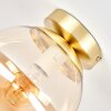 Gastor globe ceiling light, E27 flush mount for modern retro vintage interiors