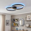 Narok LED ring ceiling light with remote control, modern living room ceiling lamp