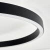 Narok LED ring ceiling light with remote control, modern living room ceiling lamp