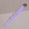 Flaut Pendant Light LED chrome, 1-light source, Remote control, Colour changer