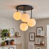 Gastor retro globe ceiling light, 4-light ceiling lamp for dining room