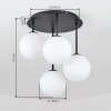Gastor retro globe ceiling light, 4-light ceiling lamp for dining room