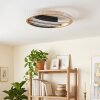 Calista round LED ceiling light ø 29.5 cm, flat modern flush-mount light