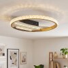 Calista round LED ceiling light ø 29.5 cm, flat modern flush-mount light