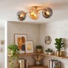 Chehalis Globe Ceiling Light, 4-Light E14 Retro Light for Living Room