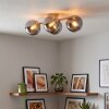 Chehalis 4-light ceiling light with globe shades, modern retro ceiling lamp