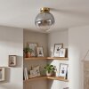Gastor globe ceiling light, E27 fitting, 25 cm round shade, modern vintage style