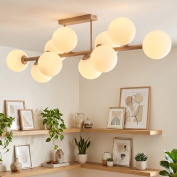 Gastor globe ceiling light, 10-light modern ceiling lamp for living or dining room