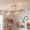 Gastor 10-Light Modern Globe Ceiling Light for Living Room and Dining Room