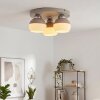 Eloria 3-light ceiling light, globe flush mount ceiling lamp for E27 bulbs