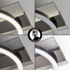 Kordex LED ceiling light, modern ring ceiling light for living and dining rooms