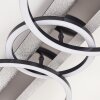Kordex LED ceiling light, modern ring ceiling lamp for living room and hallway