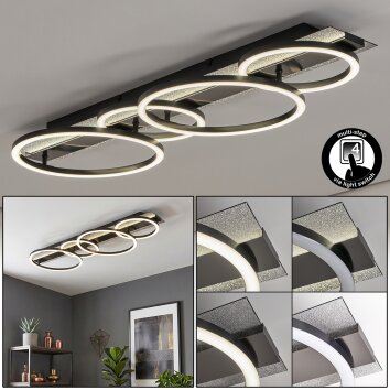 Kordex LED ceiling light, modern ring ceiling lamp for living room and hallway