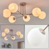 Koyoto 6-Light Ceiling Light with Globe Shades, Round Ceiling Lamp, 78 cm