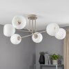 Koyoto 6-Light Ceiling Light with Globe Shades, Round Ceiling Lamp, 78 cm