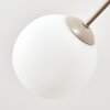 Koyoto 6-Light Ceiling Light with Globe Shades, Round Ceiling Lamp, 78 cm