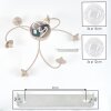 Chehalis 6-flame globe ceiling light with G9 sockets and curved arm design