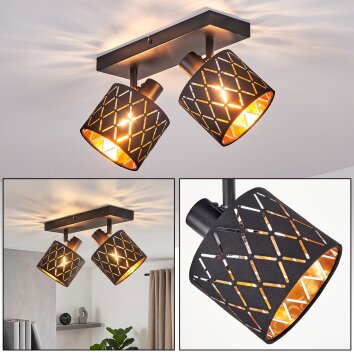 Alsen 2-light ceiling spotlight with adjustable lattice shades for living room, E14