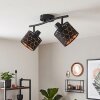 Alsen 2-light rotating ceiling spotlight with geometric cylinder shades, E14
