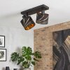 Modern ceiling spotlight Alsen with two adjustable gold and black fabric shades, E14