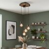 Avestruz dining room pendant light, 4-light hanging lamp for living room, length 20 cm