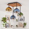 Koyoto 4-light ceiling light with globe shades, E14, boho retro design