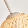 Basto ceiling light with 4 woven-look globe shades, boho ceiling lamp