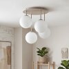 Gastor 4-light globe ceiling light, round fixture for living room and dining room