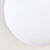 Gastor 4-light globe ceiling light, round fixture for living room and dining room