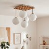 Gastor globe ceiling light, 5-light ceiling fixture with slatted canopy, E14