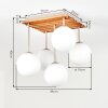 Gastor globe ceiling light, 5-light ceiling fixture with slatted canopy, E14