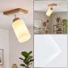Alvorn adjustable ceiling spotlight with swivel light head for hallways, bedrooms