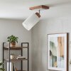 Alvorn adjustable ceiling spotlight with swivel light head for hallways, bedrooms