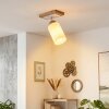 Alvorn adjustable ceiling spotlight with swivel light head for hallways, bedrooms