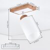 Alvorn adjustable ceiling spotlight with swivel light head for hallways, bedrooms