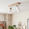 Alvorn modern 2-light ceiling spotlight with adjustable cylindrical lamp heads, E27