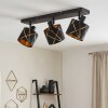 Opatija 3-Light Ceiling Spotlight with Rotating Geometric Drum Shades for Living Room